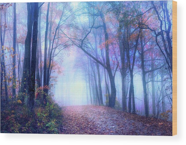 Carolina Wood Print featuring the photograph The Ghosts of Autumn Evening by Debra and Dave Vanderlaan