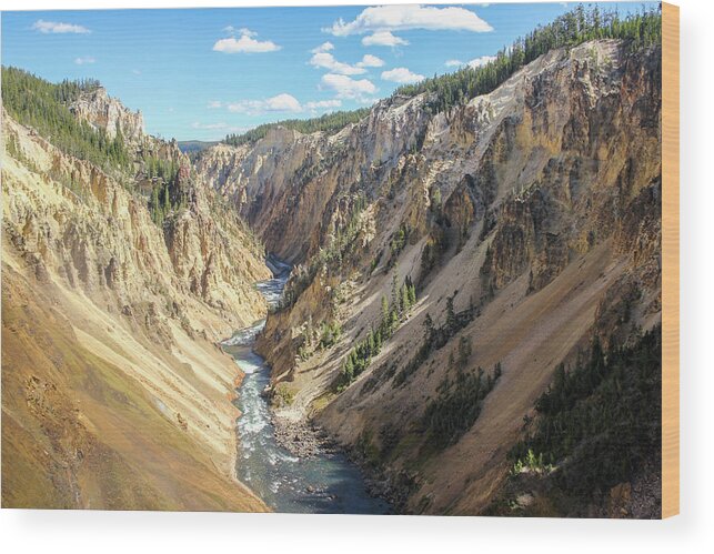 Yellowstone Wood Print featuring the photograph The Grand Canyon of Yellowstone by Robert Carter
