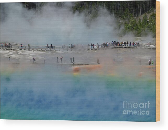 Grand Prismatic Wood Print featuring the photograph The Grand Prismatic and The Boardwalk by Amazing Action Photo Video
