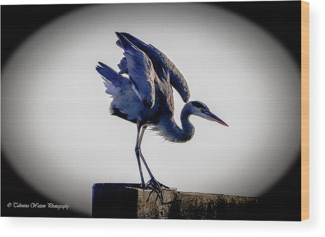 Great Blue Heron Wood Print featuring the photograph The Great Blue Heron by Tahmina Watson