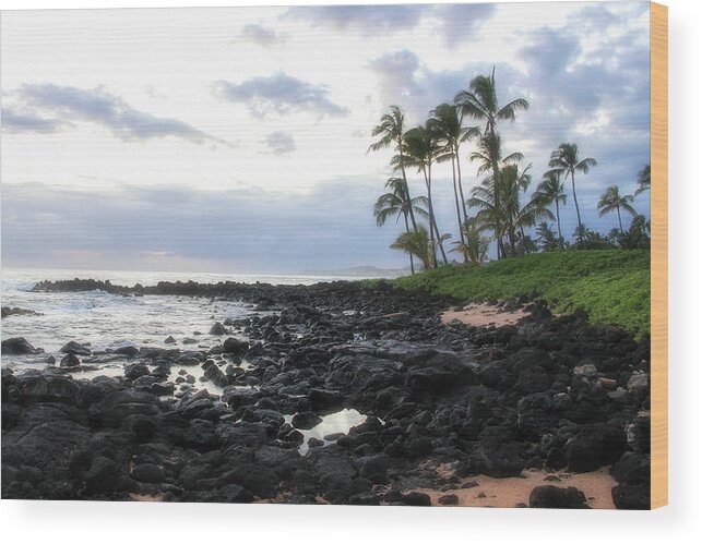 Hawaii Wood Print featuring the photograph The Grey Sunset by Robert Carter