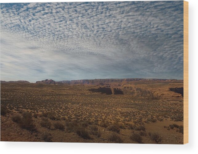 Desert Wood Print featuring the photograph The High Desert of Northern Arizona by Laura Putman