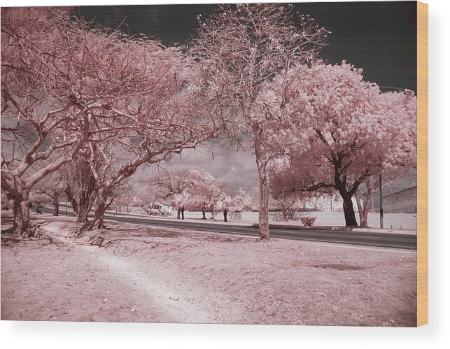 Infrared Photography Wood Print featuring the photograph The Highway and The Byway by Gian Smith