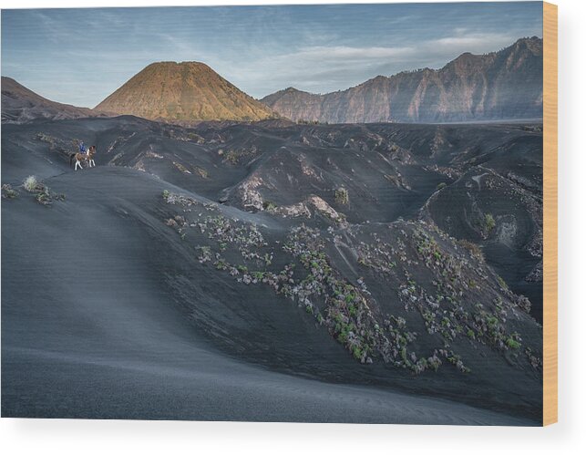 Asia Wood Print featuring the photograph The horse rider of Mt Bromo by Anges Van der Logt