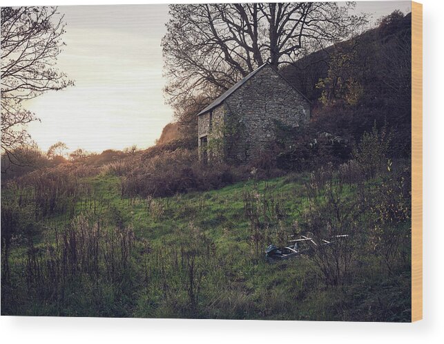 House Wood Print featuring the photograph The house upon the hill by Gavin Lewis