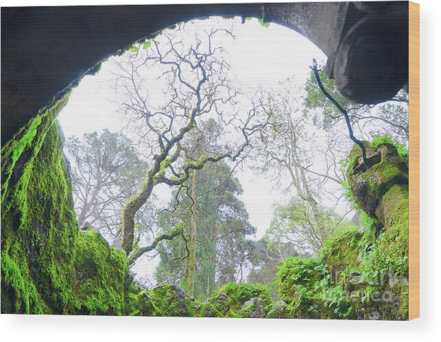 Sintra Wood Print featuring the photograph The Initiation Well by Anastasy Yarmolovich