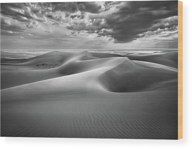 Algodones Dunes Wood Print featuring the photograph The Inner Sea by Alexander Kunz