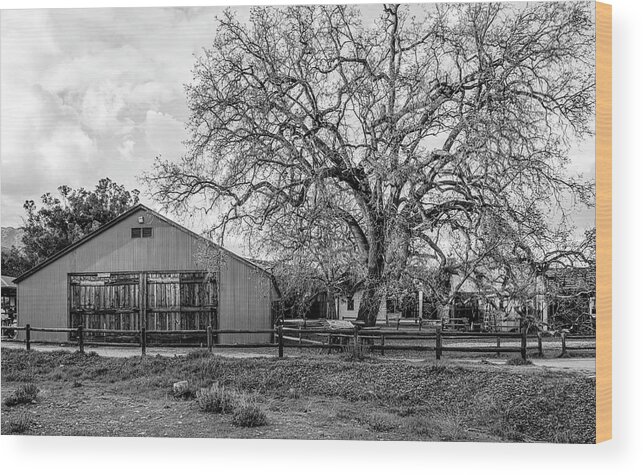 Old West Wood Print featuring the photograph The Livery Stable And Oak by Gene Parks