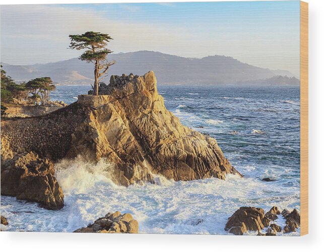 Ngc Wood Print featuring the photograph The Lone Cypress by Robert Carter
