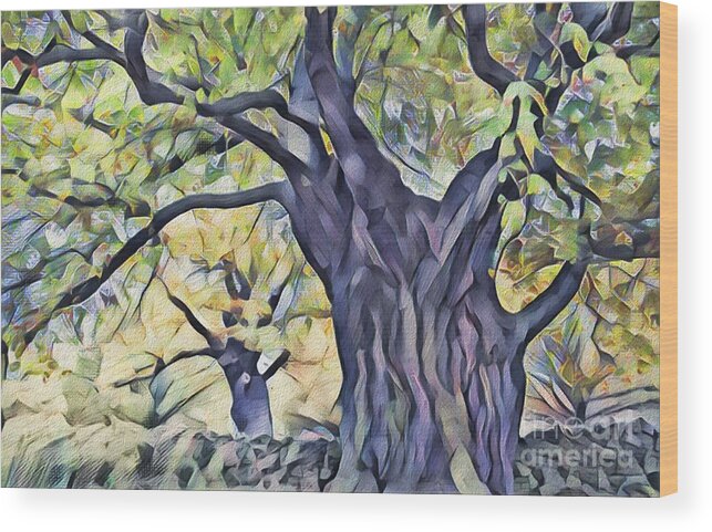 Trees Wood Print featuring the photograph The Mighty Oak Tree by Philip Preston