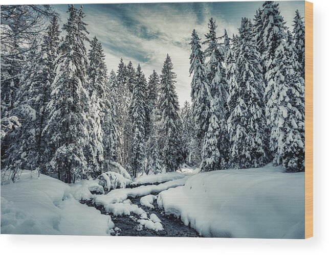 Natural Beauty Wood Print featuring the photograph The Natural Path - River Through the Snowy Forest by Benoit Bruchez