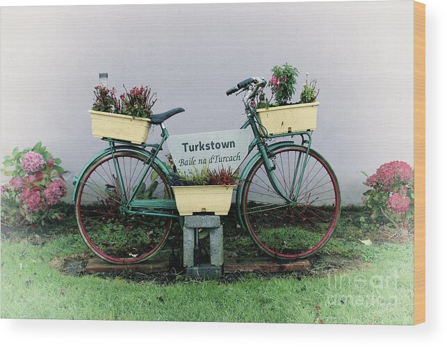 Bike Wood Print featuring the photograph The old Turkstown bicycle by Joe Cashin