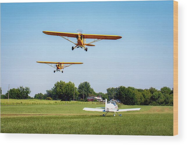 Will Rogers Fly In Wood Print featuring the photograph The Pattern is Full by James Barber