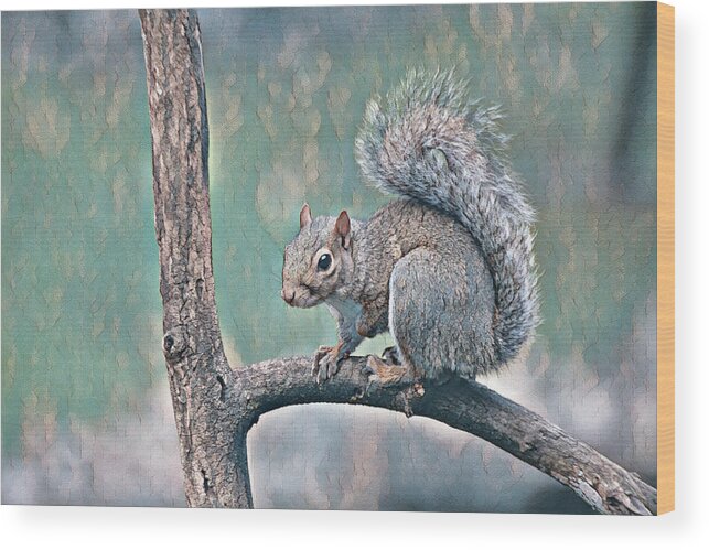 Wildlife Wood Print featuring the photograph The Pause by Gina Fitzhugh