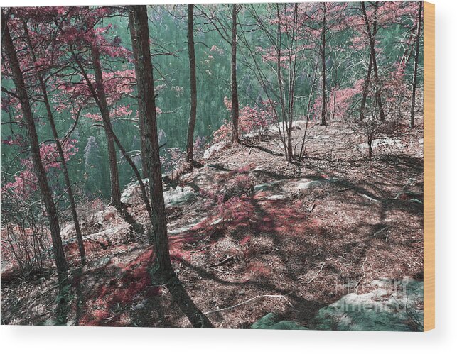 Obed Wood Print featuring the photograph The Point Trail Infrared by Phil Perkins