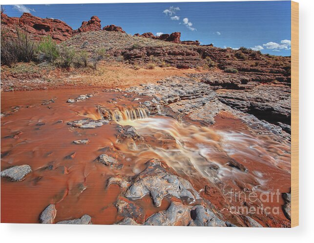 Utah Wood Print featuring the photograph The Red Flow by Jim Garrison