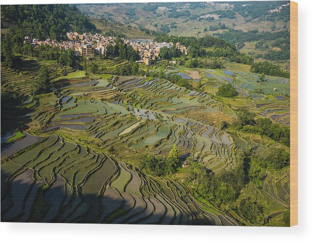 Rice Paddy Wood Print featuring the photograph The scenery of the terraced fields by Zhouyousifang