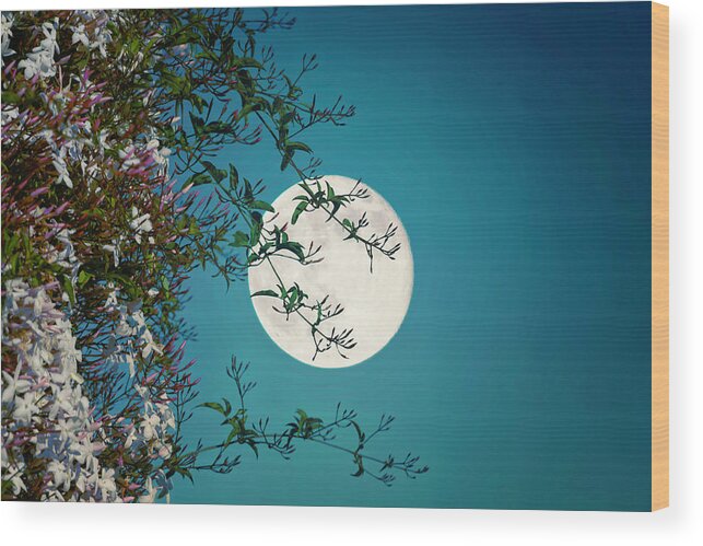 Fullmoon Wood Print featuring the photograph The Scent of Jasmine 2 by Lee Sie
