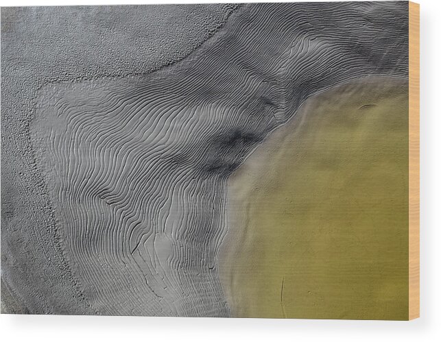 Mud Wood Print featuring the photograph The Skin Of Other Worlds by Deborah Hughes
