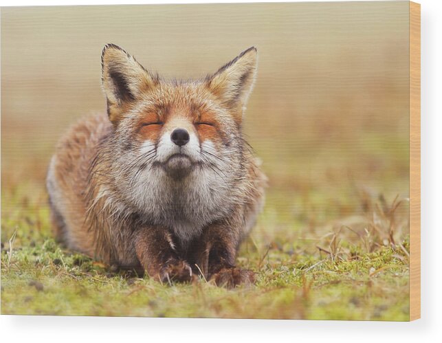 Fox Wood Print featuring the photograph The Smiling Fox by Roeselien Raimond
