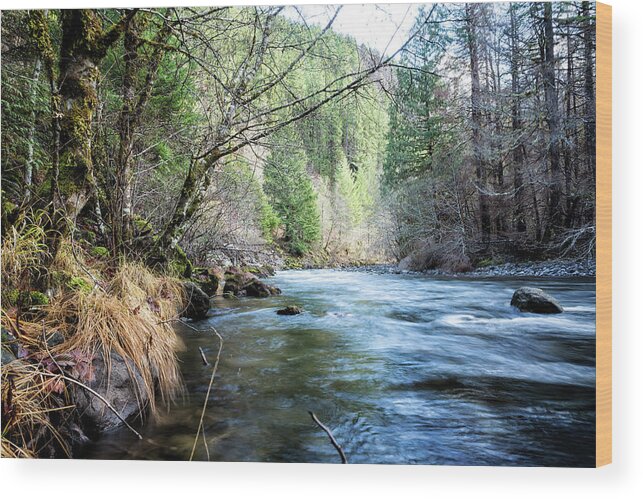 South Fork Wood Print featuring the photograph The South Fork of the McKenzie River by Belinda Greb