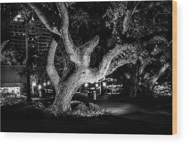 Art Wood Print featuring the photograph The Tree of Life by Louis Dallara