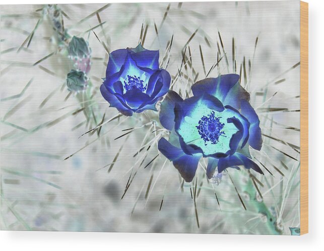 Cactus Wood Print featuring the photograph Thorny Situation by Missy Joy