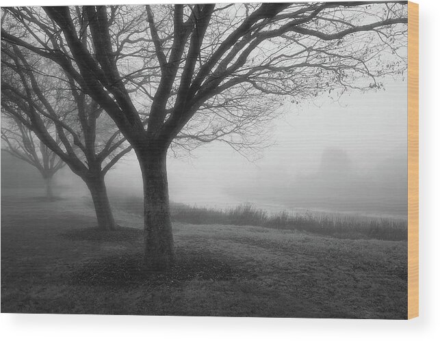Trees In The Mist Wood Print featuring the photograph Three Sisters by John Parulis