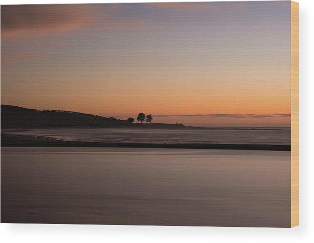 Dawn Wood Print featuring the photograph Three trees at dawn by Johannes Brienesse