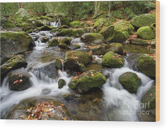 Smoky Mountains Wood Print featuring the photograph Thunderhead Prong 25 by Phil Perkins