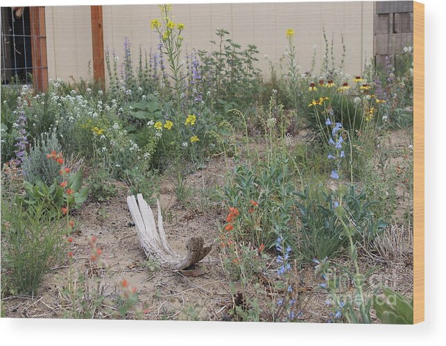 Native Wildflowers Wood Print featuring the photograph ThunderVisions Studio Flowerbed by Doug Miller