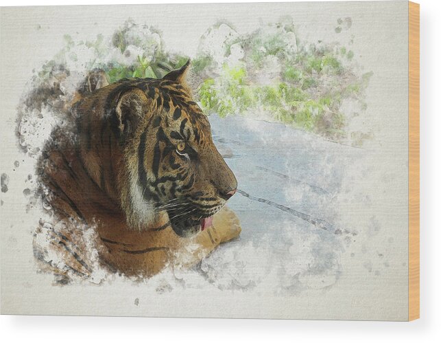 Tiger Wood Print featuring the digital art Tiger Portrait with Textures by Alison Frank