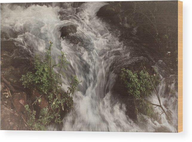 Israel Wood Print featuring the photograph To The Jordan River by M Kathleen Warren