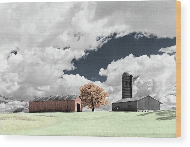 Tobacco Wood Print featuring the photograph TobaccOak - hand colorized Infrared film image of WI tobacco shed farm scene by Peter Herman