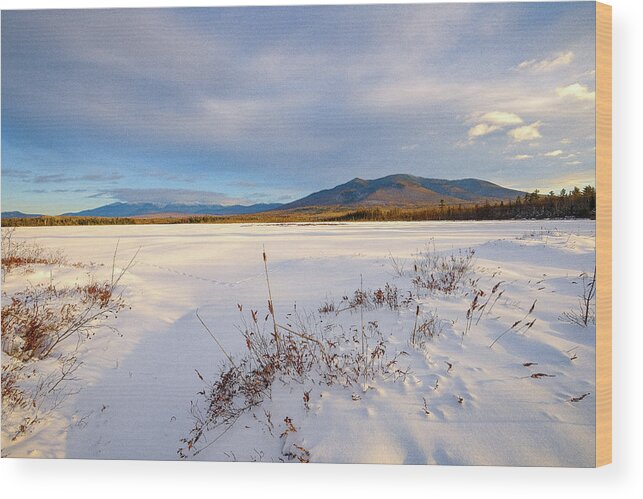 New Hampshire Wood Print featuring the photograph Tracks In The Snow, Cherry Pond. by Jeff Sinon