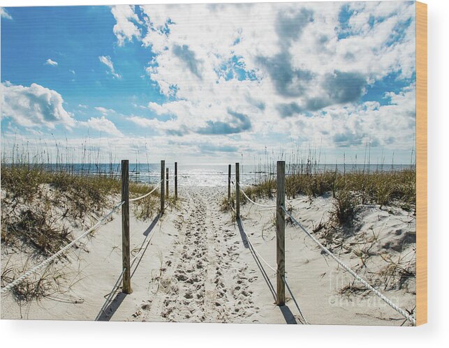 Footprints Wood Print featuring the photograph Trail of Footprints to the Beach by Beachtown Views
