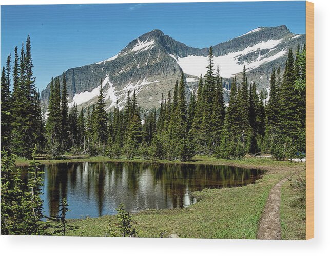 Glacier National Park Wood Print featuring the photograph Trail to Siyeh Pass by Larey McDaniel