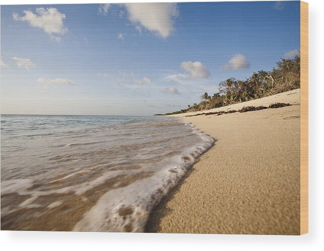 Tranquility Wood Print featuring the photograph Tranquil beach scene by PhotoAlto/James Hardy
