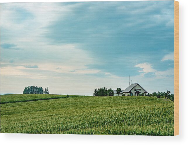 Scenics Wood Print featuring the photograph Tranquil scene in Biei by Liyao Xie