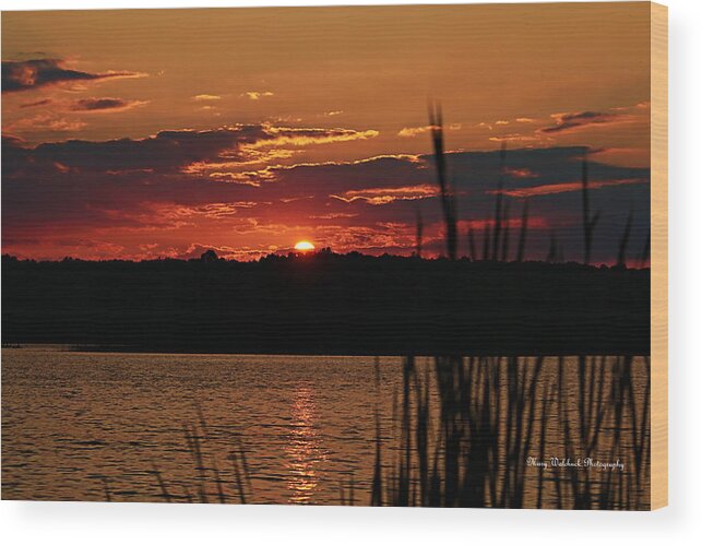 Peacful Wood Print featuring the photograph Tranquility by Mary Walchuck