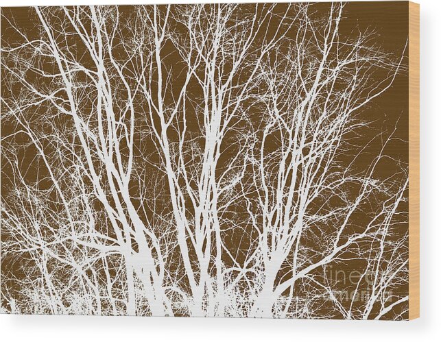 Willow Branches Wood Print featuring the photograph Tree Branches by Scott Cameron