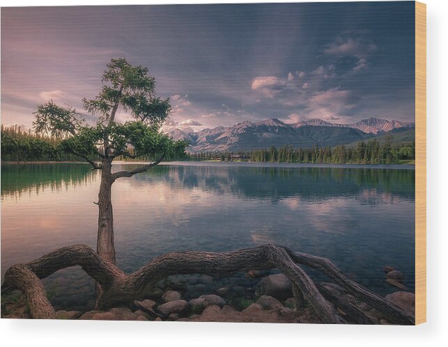 Tree Wood Print featuring the photograph Tree on the lake by Henry w Liu