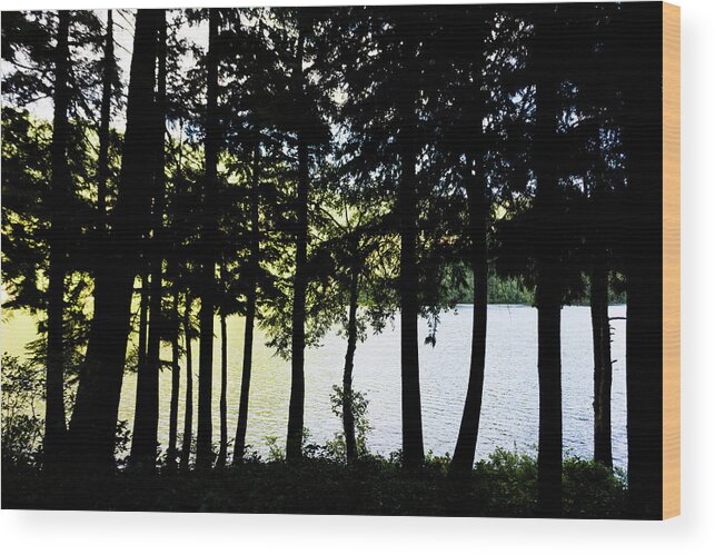 Dv8.ca Wood Print featuring the photograph Trees at Alice Lake by Jim Whitley