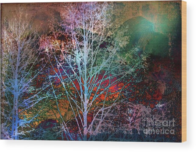 Trees Wood Print featuring the photograph Trees In The Night by Sylvia Cook