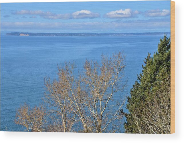 Blue Sky Wood Print featuring the photograph Trees Looking Off The Ocean Bluff by James Cousineau