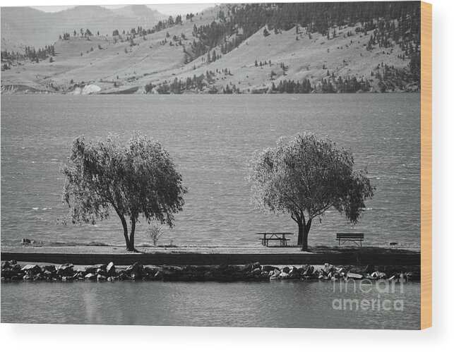 Nature Wood Print featuring the photograph Trees on the Pier by Kae Cheatham