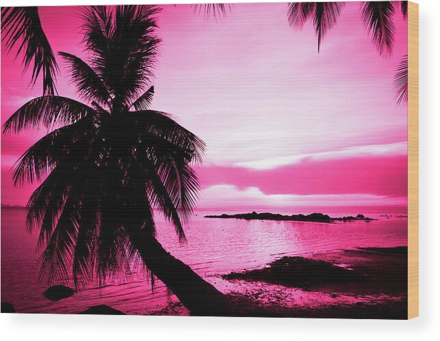 Sunset Wood Print featuring the photograph Tropical Pink by Josu Ozkaritz