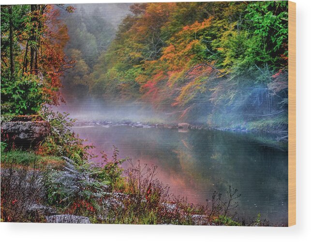 Stream Wood Print featuring the photograph Trout Stream in the Catskill Mountains in New York by Cordia Murphy