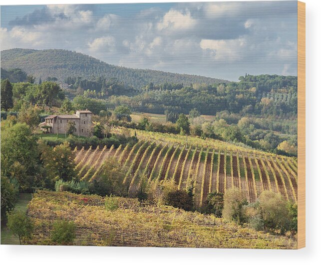 Tuscany Wood Print featuring the photograph Tuscan Valley by Dave Bowman