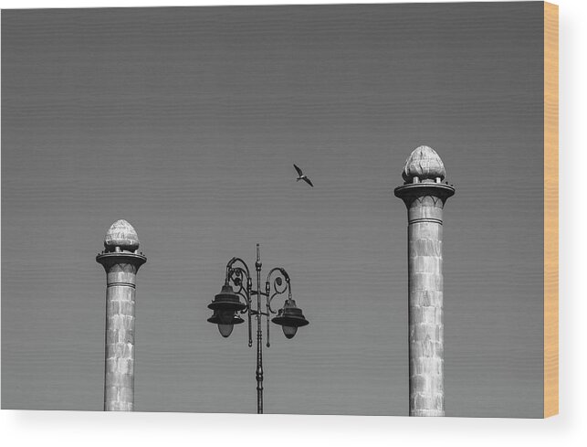 Twin Towers Wood Print featuring the photograph Twin Towers by Prakash Ghai